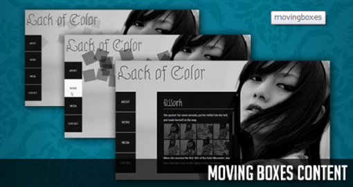 MOVING BOXES