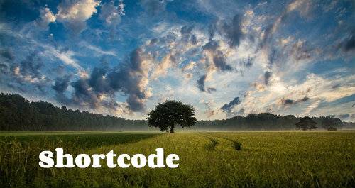 Shortcode