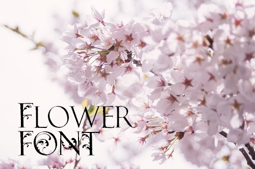 FlowerFont-i