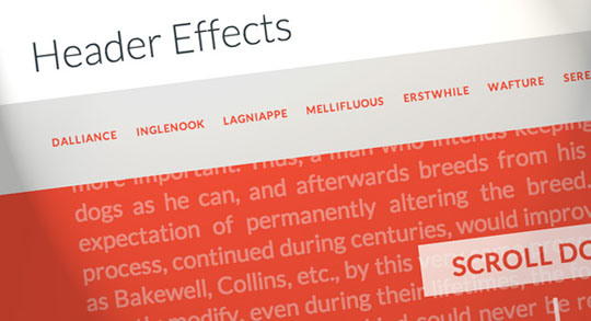 On Scroll Header Effects